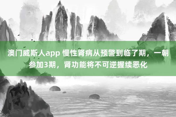 澳门威斯人app 慢性肾病从预警到临了期，一朝参加3期，肾功能将不可逆握续恶化