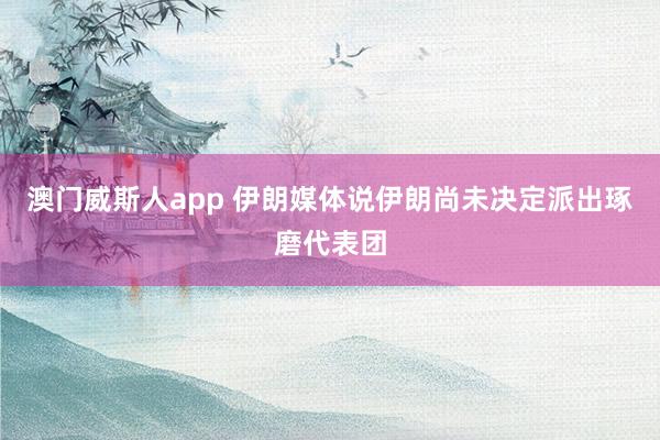 澳门威斯人app 伊朗媒体说伊朗尚未决定派出琢磨代表团