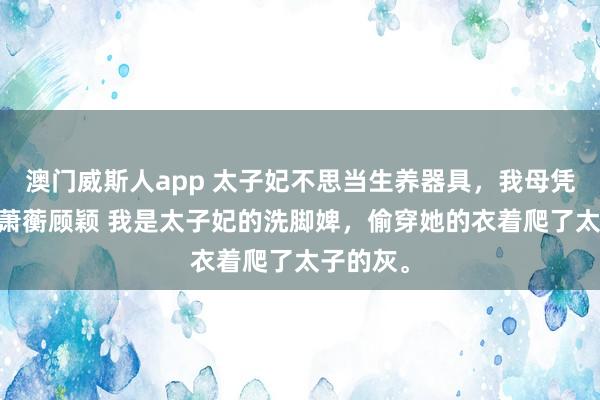澳门威斯人app 太子妃不思当生养器具，我母凭子贵了 萧蘅顾颖 我是太子妃的洗脚婢，偷穿她的衣着爬了太子的灰。