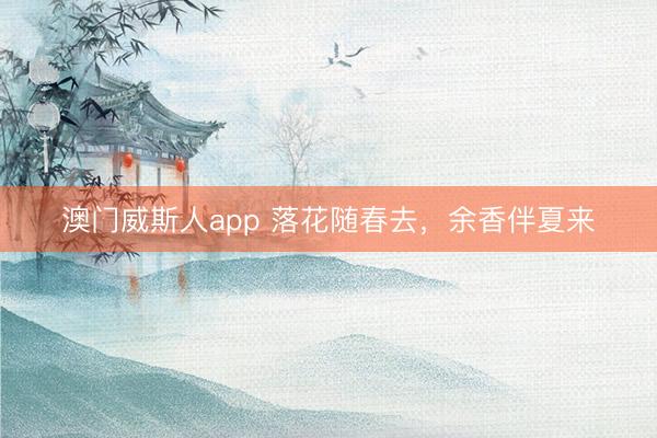 澳门威斯人app 落花随春去，余香伴夏来