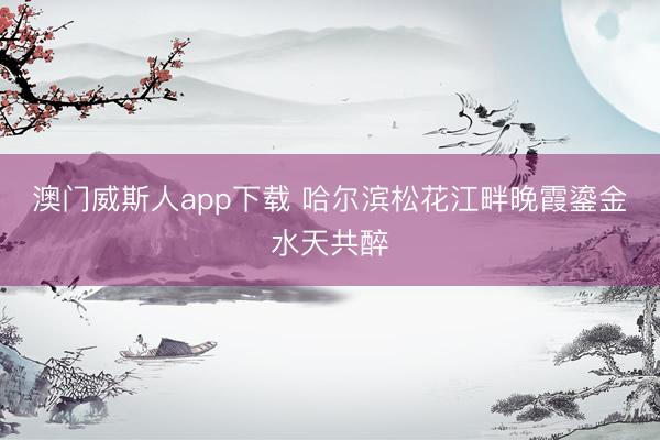 澳门威斯人app下载 哈尔滨松花江畔晚霞鎏金水天共醉