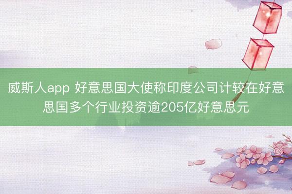 威斯人app 好意思国大使称印度公司计较在好意思国多个行业投资逾205亿好意思元