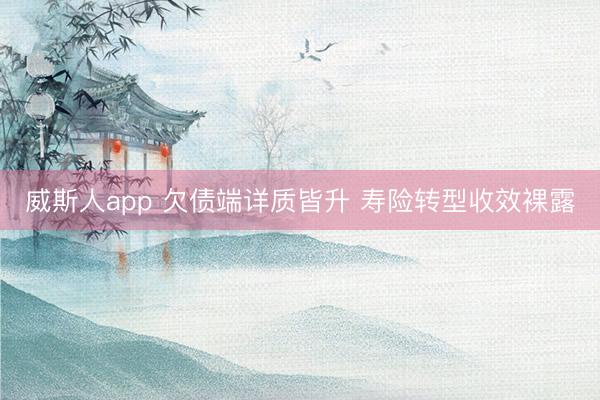 威斯人app 欠债端详质皆升 寿险转型收效裸露
