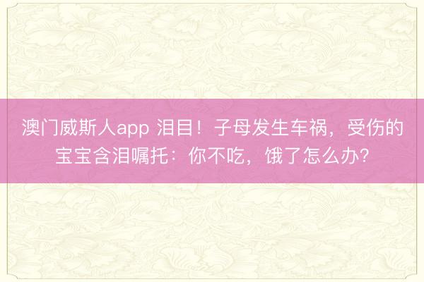 澳门威斯人app 泪目！子母发生车祸，受伤的宝宝含泪嘱托：你不吃，饿了怎么办？